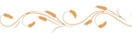 witamy1