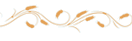 Witamy2
